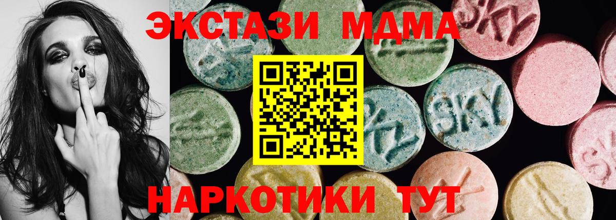 ЭКСТАЗИ бентли Сокол
