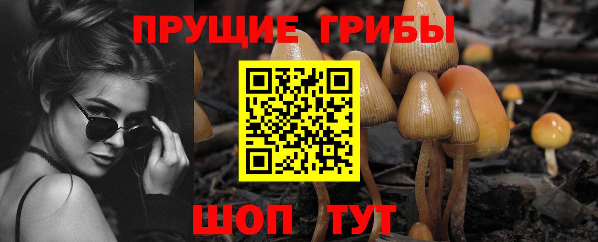 Псилоцибиновые грибы мухоморы  Вход с VPN  Сокол  Галлюциногенные грибы ЛСД 